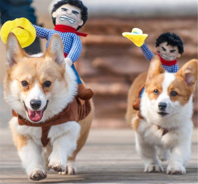 ?HOT SALE NOW 49% OFF - Dog Costume - Cowboy Rider